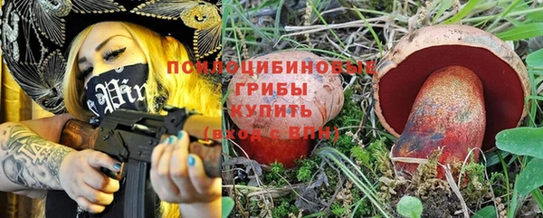 стаф Алексеевка