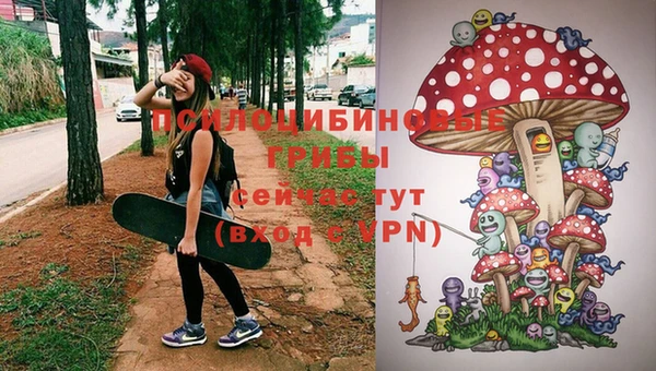 бутират Алзамай