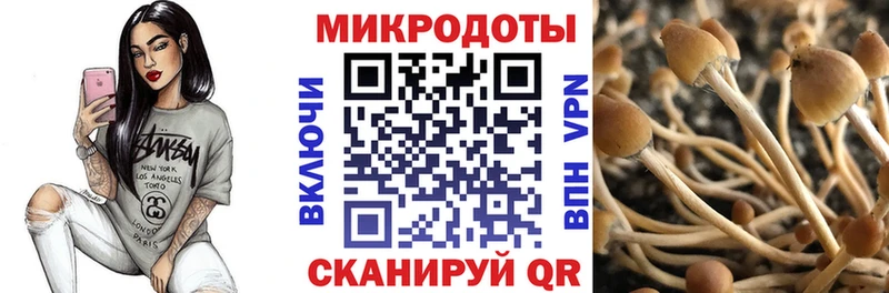 mega   Дюртюли  Галлюциногенные грибы GOLDEN TEACHER 
